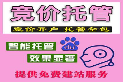 SEM推广竞价案例：品牌知名度提升之道